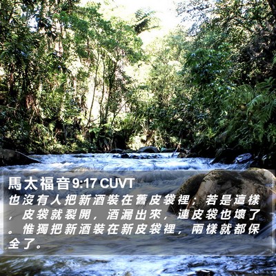 馬 太 福 音 9:17 CUVT Bible Verse Image