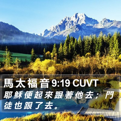 馬 太 福 音 9:19 CUVT Bible Verse Image