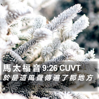 馬 太 福 音 9:26 CUVT Bible Verse Image