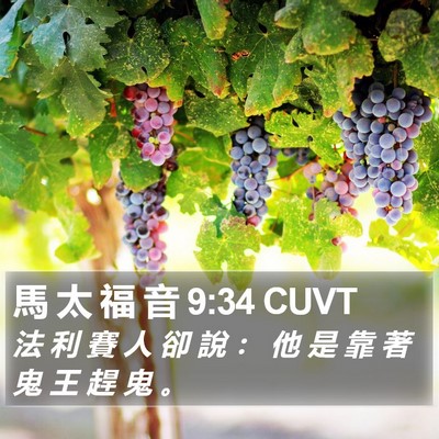 馬 太 福 音 9:34 CUVT Bible Verse Image