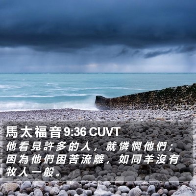 馬 太 福 音 9:36 CUVT Bible Verse Image