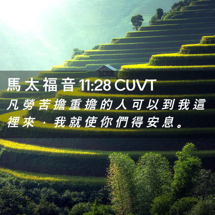 馬 太 福 音 11:28 CUVT - 凡 勞 苦 擔 重 擔 的 人 可 以 到 我