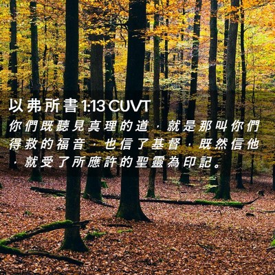 Picture 02 - 以 弗 所 書 1:13 CUVT - 你 們 既 聽 見 真 理 的 道 ， 就 是 - Bible Verse Picture
