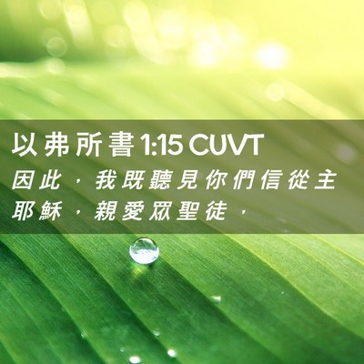 Picture 02 - 以 弗 所 書 1:15 CUVT - 因 此 ， 我 既 聽 見 你 們 信 從 主 - Bible Verse Picture