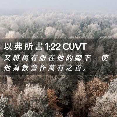 Picture 02 - 以 弗 所 書 1:22 CUVT - 又 將 萬 有 服 在 他 的 腳 下 ， 使 - Bible Verse Picture