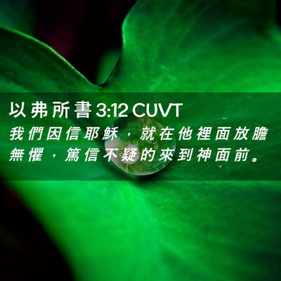 Picture 02 - 以 弗 所 書 3:12 CUVT - 我 們 因 信 耶 穌 ， 就 在 他 裡 面 - Bible Verse Picture