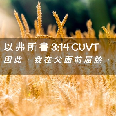 Picture 02 - 以 弗 所 書 3:14 CUVT - 因 此 ， 我 在 父 面 前 屈 膝 - Bible Verse Picture