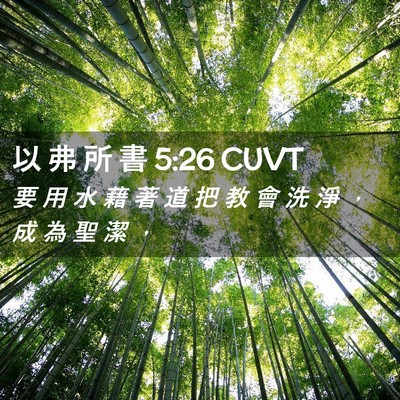 Picture 02 - 以 弗 所 書 5:26 CUVT - 要 用 水 藉 著 道 把 教 會 洗 淨 ， - Bible Verse Picture