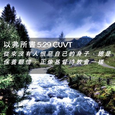 Picture 02 - 以 弗 所 書 5:29 CUVT - 從 來 沒 有 人 恨 惡 自 己 的 身 子 - Bible Verse Picture