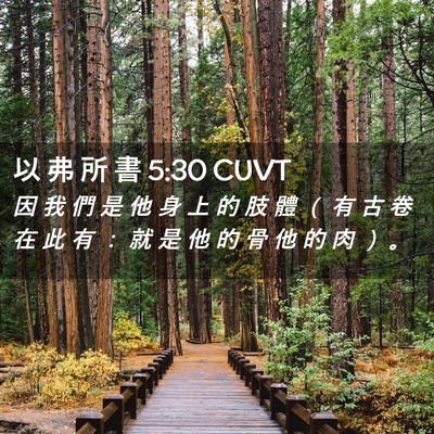 Picture 02 - 以 弗 所 書 5:30 CUVT - 因 我 們 是 他 身 上 的 肢 體 （ 有 - Bible Verse Picture