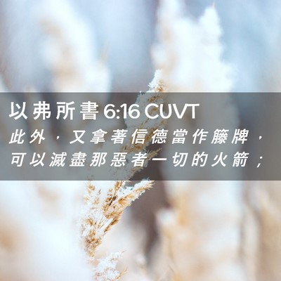 Picture 02 - 以 弗 所 書 6:16 CUVT - 此 外 ， 又 拿 著 信 德 當 作 籐 牌 - Bible Verse Picture