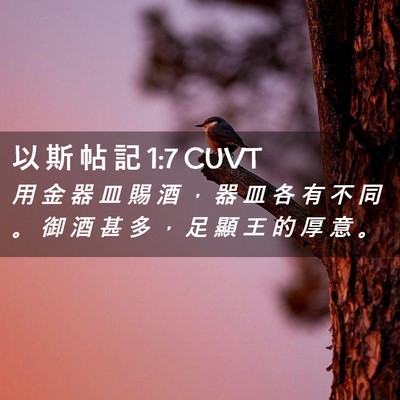Picture 02 - 以 斯 帖 記 1:7 CUVT - 用 金 器 皿 賜 酒 ， 器 皿 各 有 不 - Bible Verse Picture