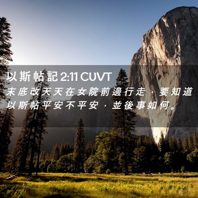 Picture 02 - 以 斯 帖 記 2:11 CUVT - 末 底 改 天 天 在 女 院 前 邊 行 走 - Bible Verse Picture