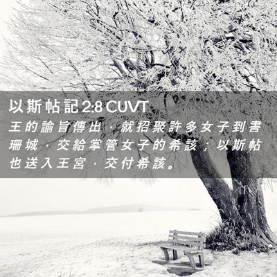 Picture 02 - 以 斯 帖 記 2:8 CUVT - 王 的 諭 旨 傳 出 ， 就 招 聚 許 多 - Bible Verse Picture