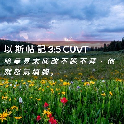 Picture 02 - 以 斯 帖 記 3:5 CUVT - 哈 曼 見 末 底 改 不 跪 不 拜 ， 他 - Bible Verse Picture