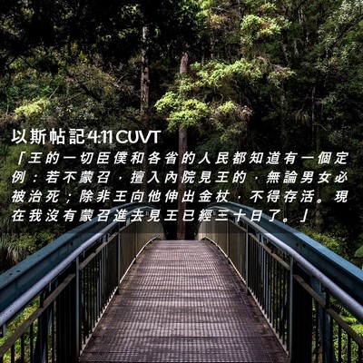 Picture 02 - 以 斯 帖 記 4:11 CUVT - 「 王 的 一 切 臣 僕 和 各 省 的 人 - Bible Verse Picture