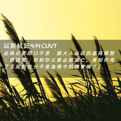 Picture 02 - 以 斯 帖 記 4:14 CUVT - 此 時 你 若 閉 口 不 言 ， 猶 大 人 - Bible Verse Picture