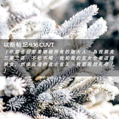 Picture 02 - 以 斯 帖 記 4:16 CUVT - 「 你 當 去 招 聚 書 珊 城 所 有 的 - Bible Verse Picture