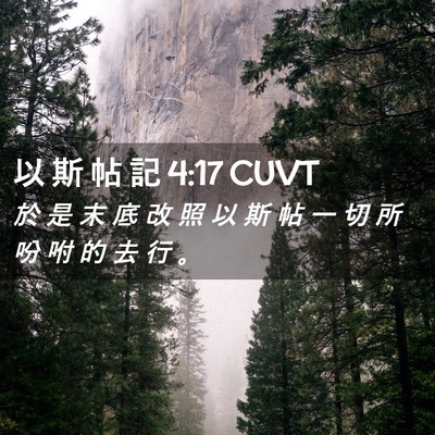 Picture 02 - 以 斯 帖 記 4:17 CUVT - 於 是 末 底 改 照 以 斯 帖 一 切 所 - Bible Verse Picture