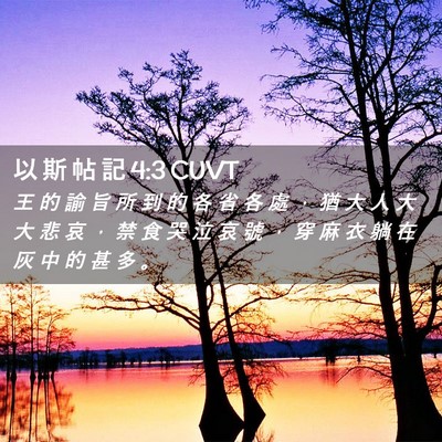 Picture 02 - 以 斯 帖 記 4:3 CUVT - 王 的 諭 旨 所 到 的 各 省 各 處 ， - Bible Verse Picture
