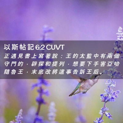 Picture 02 - 以 斯 帖 記 6:2 CUVT - 正 遇 見 書 上 寫 著 說 ： 王 的 太 - Bible Verse Picture
