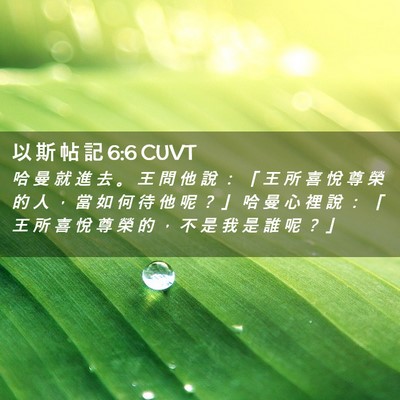 Picture 02 - 以 斯 帖 記 6:6 CUVT - 哈 曼 就 進 去 。 王 問 他 說 ： 「 - Bible Verse Picture
