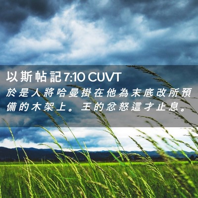 Picture 02 - 以 斯 帖 記 7:10 CUVT - 於 是 人 將 哈 曼 掛 在 他 為 末 底 - Bible Verse Picture