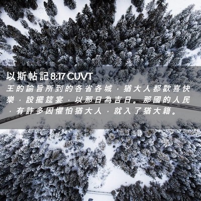 Picture 02 - 以 斯 帖 記 8:17 CUVT - 王 的 諭 旨 所 到 的 各 省 各 城 ， - Bible Verse Picture