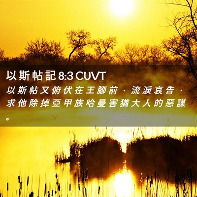 Picture 02 - 以 斯 帖 記 8:3 CUVT - 以 斯 帖 又 俯 伏 在 王 腳 前 ， 流 - Bible Verse Picture