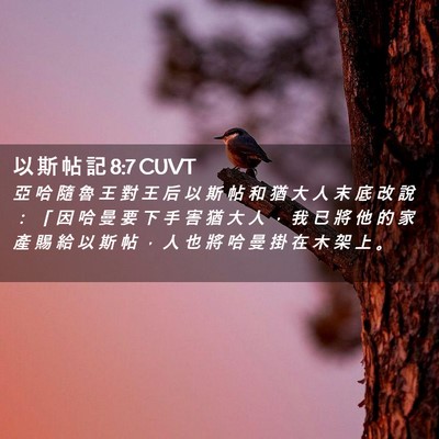 Picture 02 - 以 斯 帖 記 8:7 CUVT - 亞 哈 隨 魯 王 對 王 后 以 斯 帖 和 - Bible Verse Picture