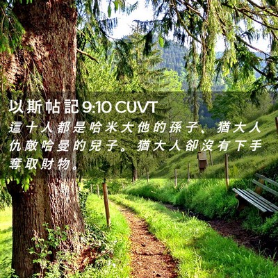 Picture 02 - 以 斯 帖 記 9:10 CUVT - 這 十 人 都 是 哈 米 大 他 的 孫 子 - Bible Verse Picture