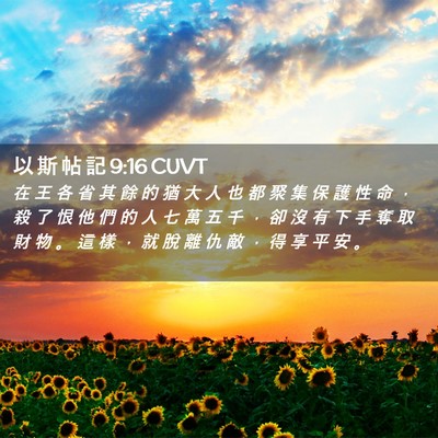 Picture 02 - 以 斯 帖 記 9:16 CUVT - 在 王 各 省 其 餘 的 猶 大 人 也 都 - Bible Verse Picture