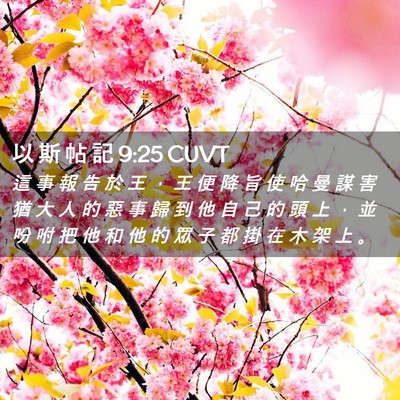 Picture 02 - 以 斯 帖 記 9:25 CUVT - 這 事 報 告 於 王 ， 王 便 降 旨 使 - Bible Verse Picture