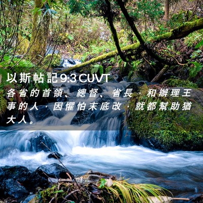 Picture 02 - 以 斯 帖 記 9:3 CUVT - 各 省 的 首 領 、 總 督 、 省 長 ， - Bible Verse Picture