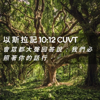 Picture 02 - 以 斯 拉 記 10:12 CUVT - 會 眾 都 大 聲 回 答 說 ： 我 們 必 - Bible Verse Picture