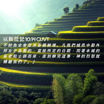 Picture 02 - 以 斯 拉 記 10:14 CUVT - 不 如 為 全 會 眾 派 首 領 辦 理 。 - Bible Verse Picture