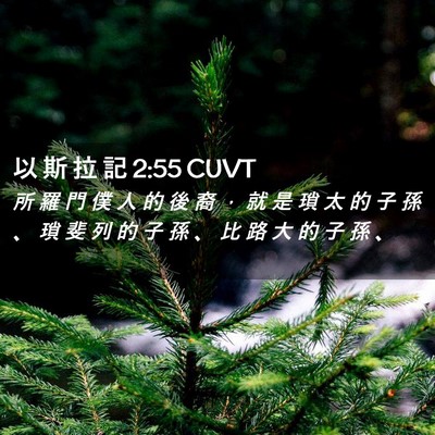 Picture 02 - 以 斯 拉 記 2:55 CUVT - 所 羅 門 僕 人 的 後 裔 ， 就 是 瑣 - Bible Verse Picture