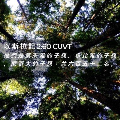 Picture 02 - 以 斯 拉 記 2:60 CUVT - 他 們 是 第 來 雅 的 子 孫 、 多 比 - Bible Verse Picture