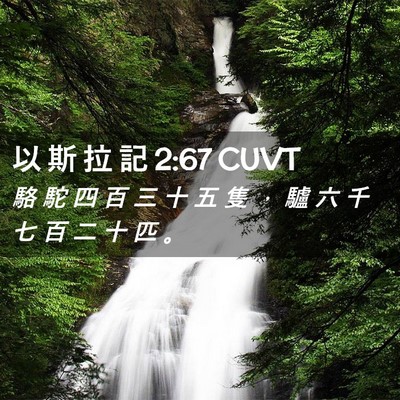 Picture 02 - 以 斯 拉 記 2:67 CUVT - 駱 駝 四 百 三 十 五 隻 ， 驢 六 千 - Bible Verse Picture