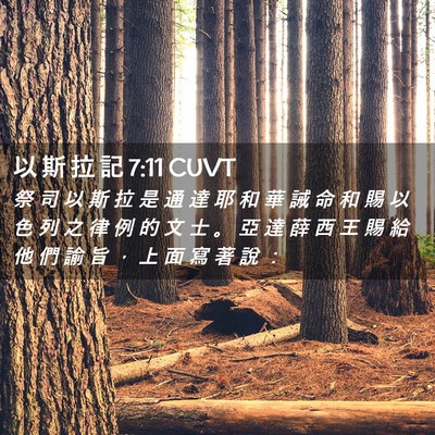 Picture 02 - 以 斯 拉 記 7:11 CUVT - 祭 司 以 斯 拉 是 通 達 耶 和 華 誡 - Bible Verse Picture