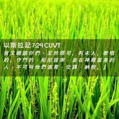 Picture 02 - 以 斯 拉 記 7:24 CUVT - 我 又 曉 諭 你 們 ， 至 於 祭 司 、 - Bible Verse Picture