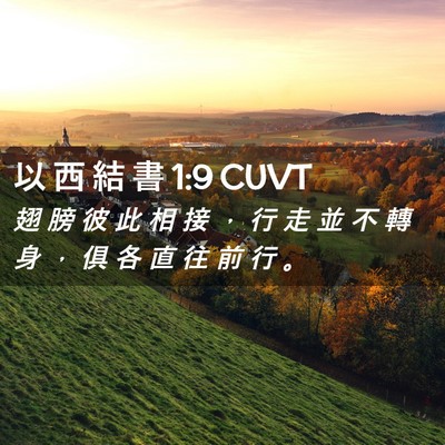 Picture 02 - 以 西 結 書 1:9 CUVT - 翅 膀 彼 此 相 接 ， 行 走 並 不 轉 - Bible Verse Picture