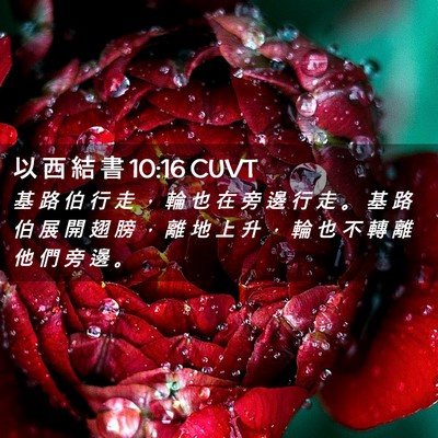 Picture 02 - 以 西 結 書 10:16 CUVT - 基 路 伯 行 走 ， 輪 也 在 旁 邊 行 - Bible Verse Picture
