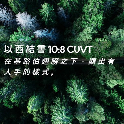 Picture 02 - 以 西 結 書 10:8 CUVT - 在 基 路 伯 翅 膀 之 下 ， 顯 出 有 - Bible Verse Picture