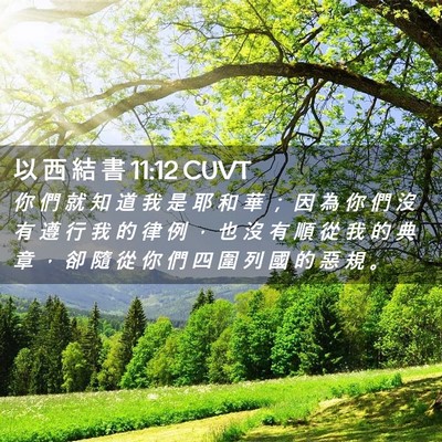 Picture 02 - 以 西 結 書 11:12 CUVT - 你 們 就 知 道 我 是 耶 和 華 ； 因 - Bible Verse Picture