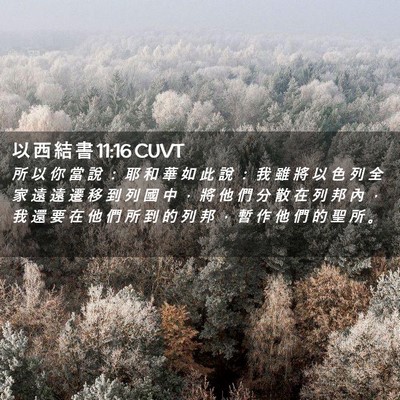 Picture 02 - 以 西 結 書 11:16 CUVT - 所 以 你 當 說 ： 耶 和 華 如 此 說 - Bible Verse Picture