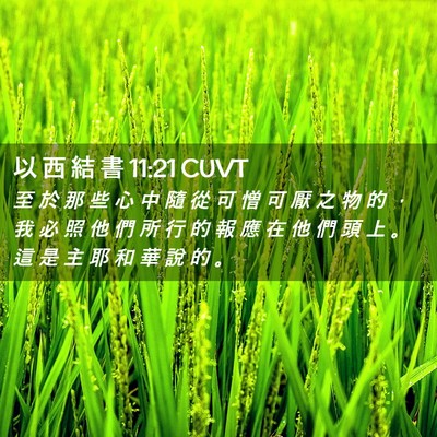 Picture 02 - 以 西 結 書 11:21 CUVT - 至 於 那 些 心 中 隨 從 可 憎 可 厭 - Bible Verse Picture