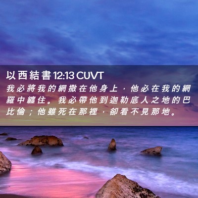Picture 02 - 以 西 結 書 12:13 CUVT - 我 必 將 我 的 網 撒 在 他 身 上 ， - Bible Verse Picture