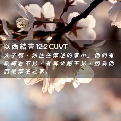 Picture 02 - 以 西 結 書 12:2 CUVT - 人 子 啊 ， 你 住 在 悖 逆 的 家 中 - Bible Verse Picture