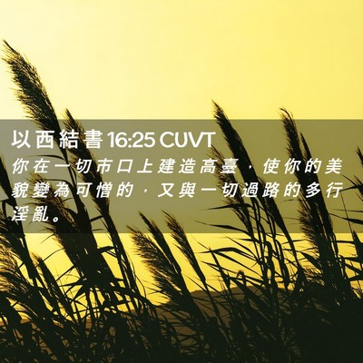 Picture 02 - 以 西 結 書 16:25 CUVT - 你 在 一 切 市 口 上 建 造 高 臺 ， - Bible Verse Picture